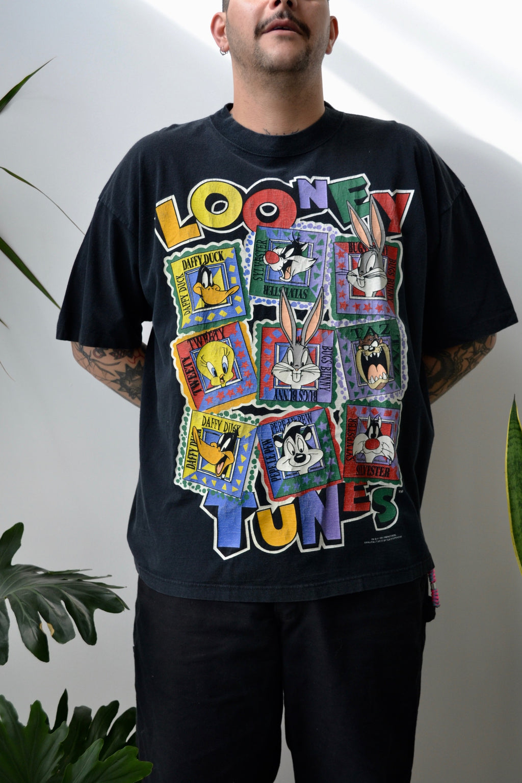 Looney Stamp Collector Tee