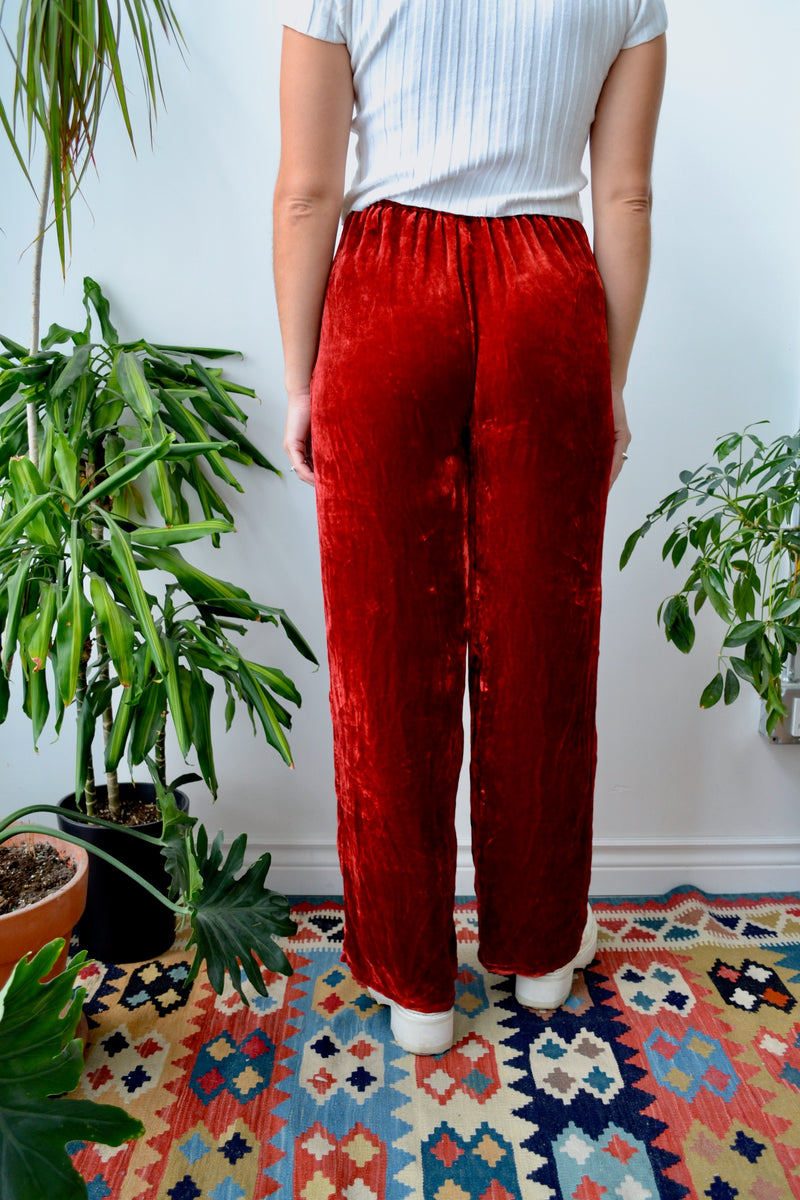Vicious Velvet Pants