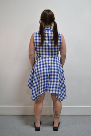 Gingham Picnic Dress