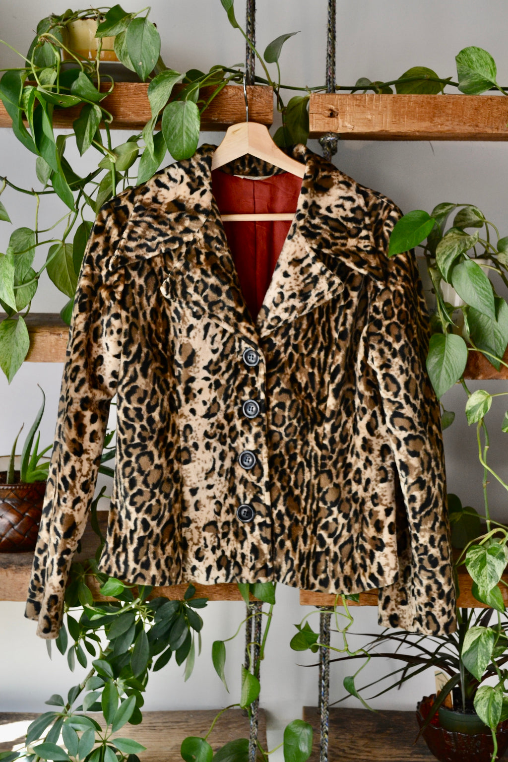 Velvet Leopard Print Jacket