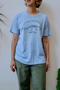 Diplodocus Tee