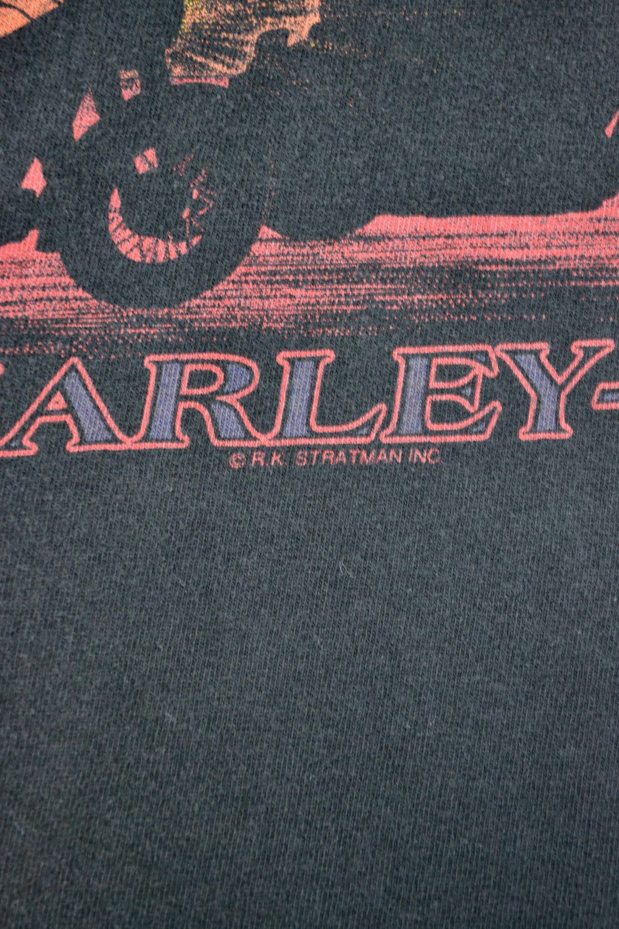 Pride of the Prairie Harley