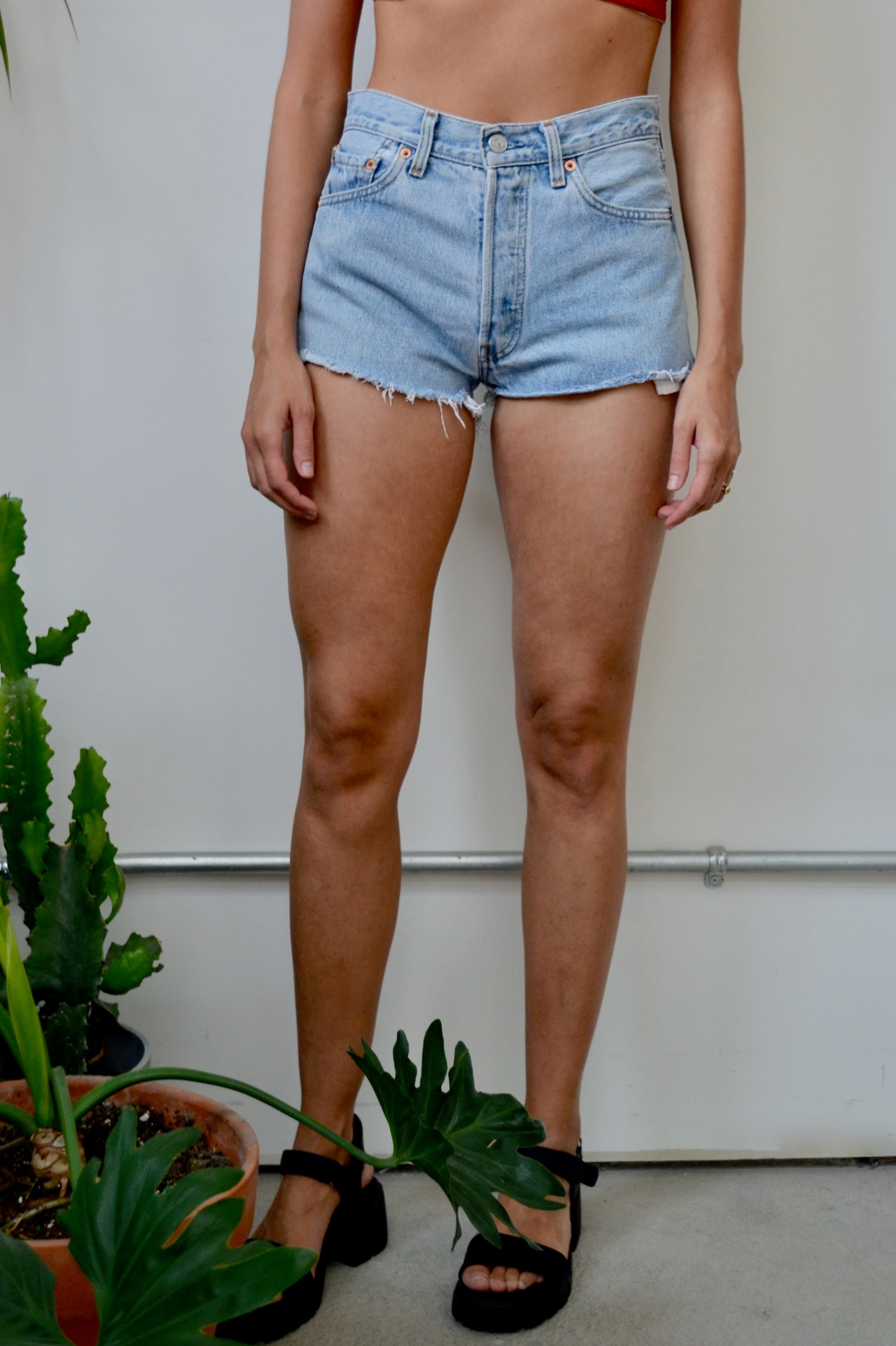 Levi's Daisy Dukes