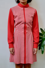 Zazie Red Gingham Mini Dress