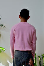 Hummingbird Crewneck