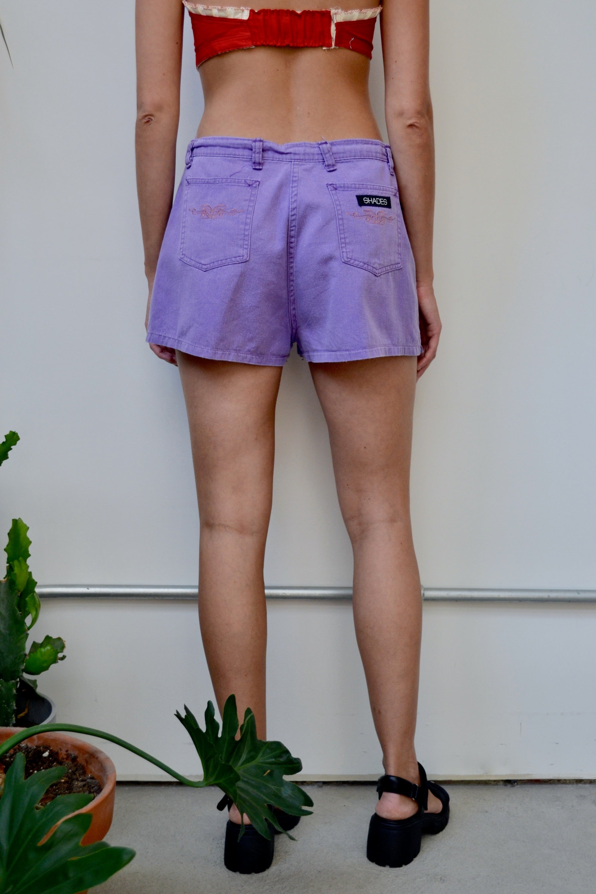 Purple Shades Shorts