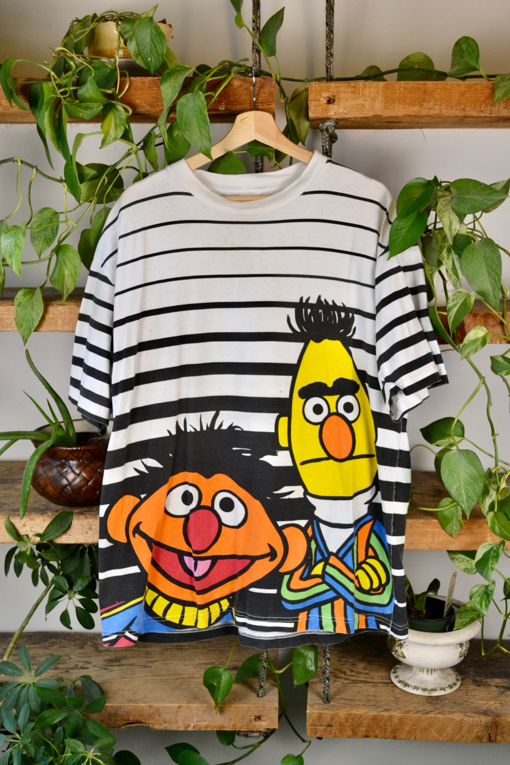 Bert & Ernie Striped Tee