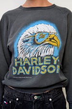 Eagle Aviators Harley Sweatshirt