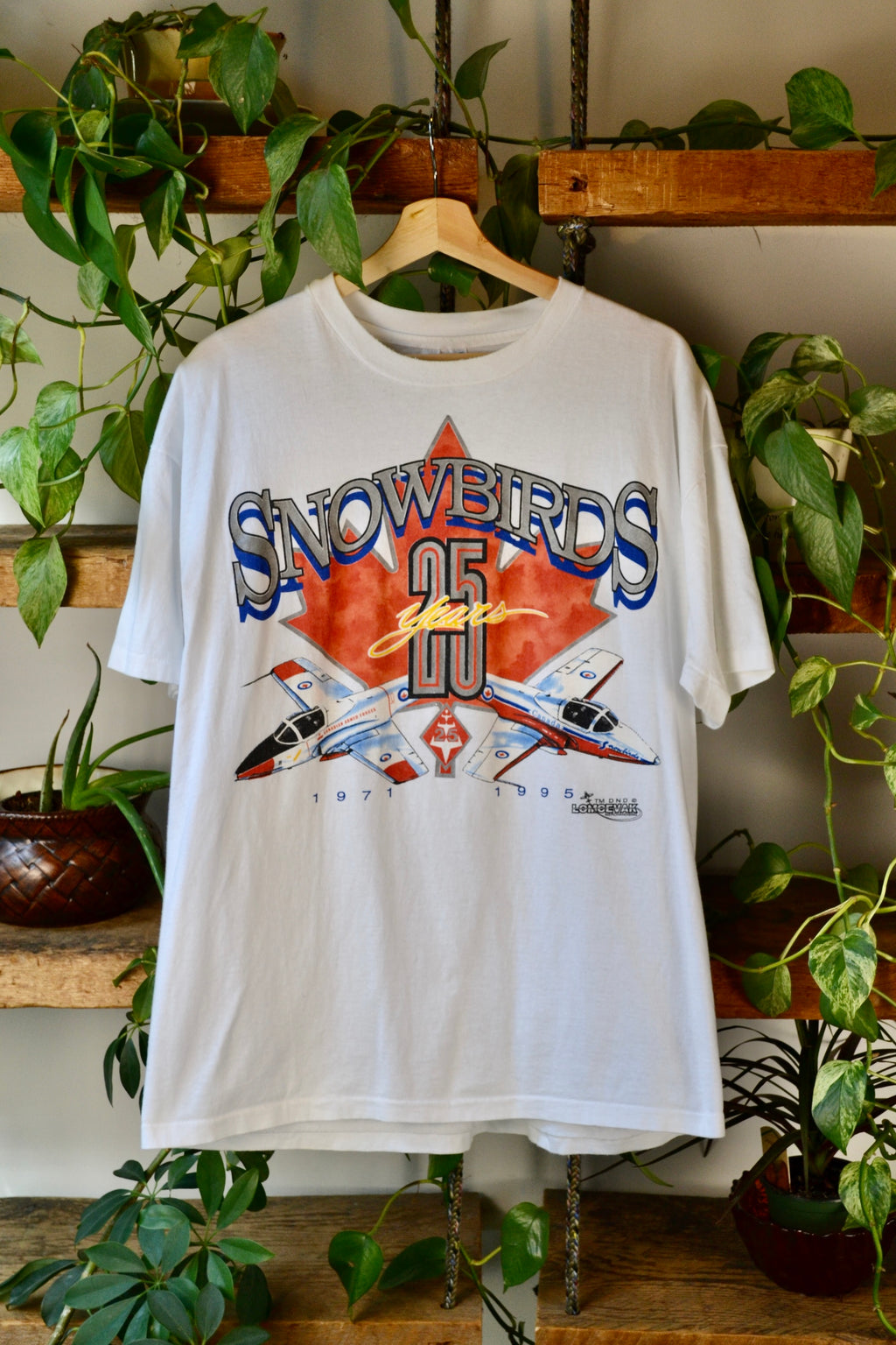 Snowbirds Anniversary Tee