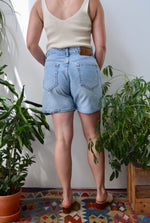 Calvin Klein Bfly Jean Shorts