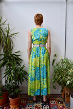 Chrysanthemum Maxi