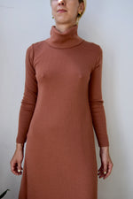 Ports Wool Turtle Neck Dress