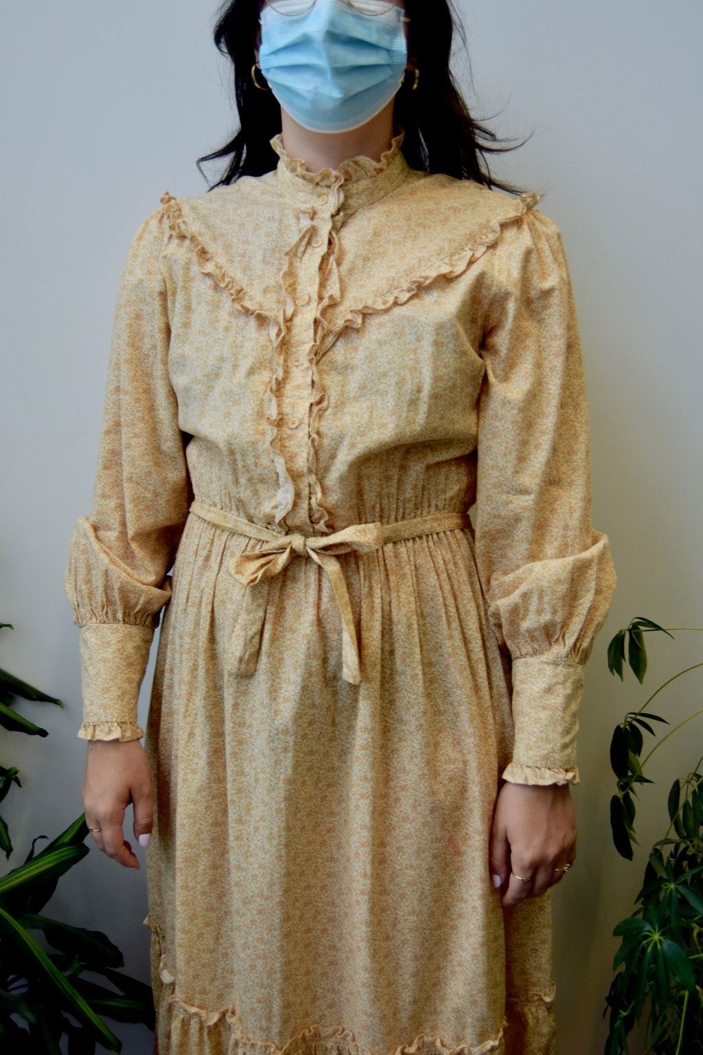 Aunt Abigails Attic Dress