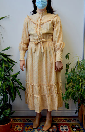 Aunt Abigails Attic Dress