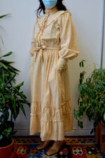 Aunt Abigails Attic Dress