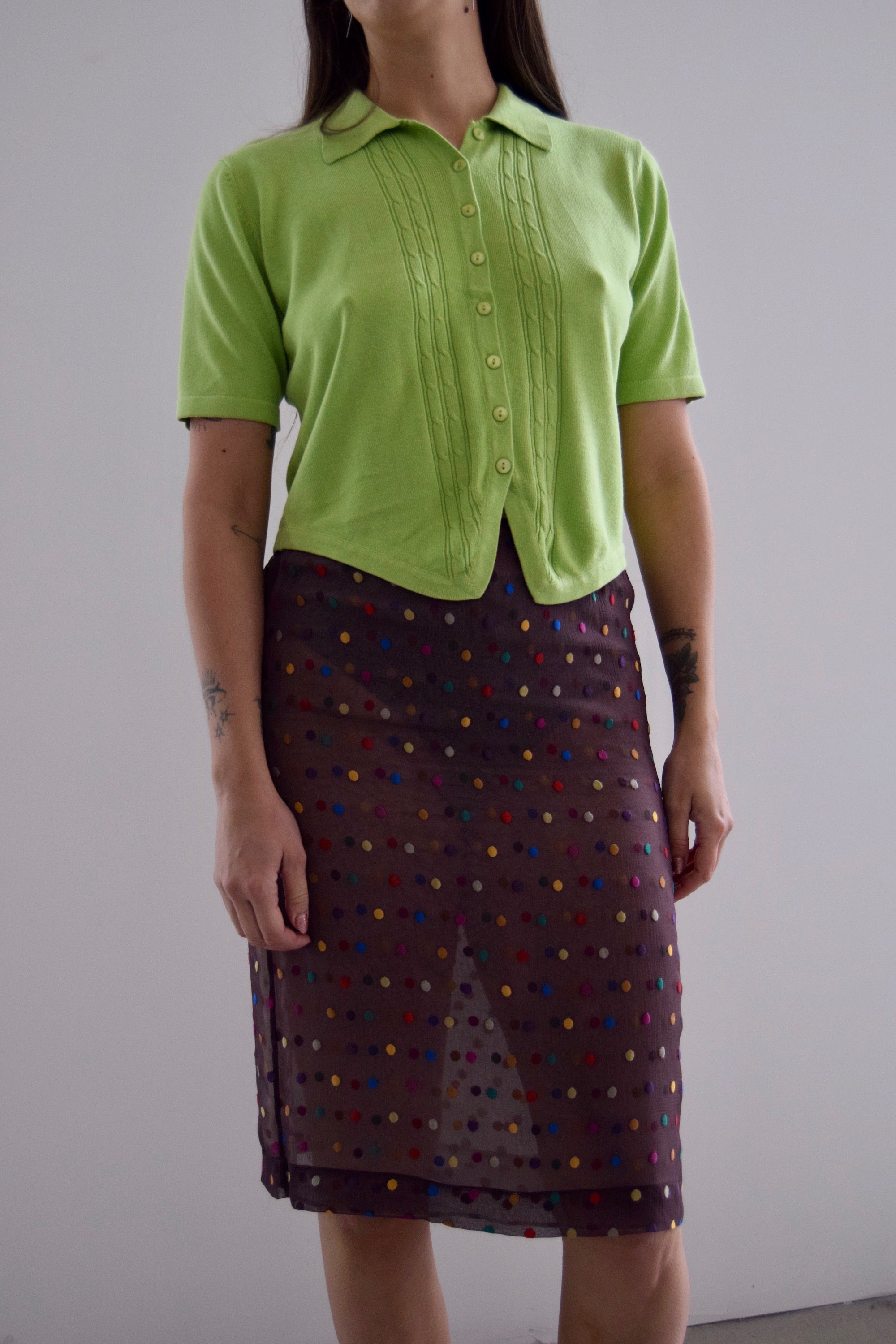 Clements Ribeiro Rainbow Dot Silk Chiffon Skirt