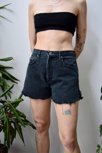 Worn In Calvin Shorts