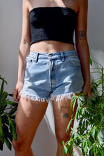 Reworked Levi's Cut Offs