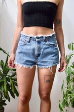 Levi's Frayed Waist Cut Offs