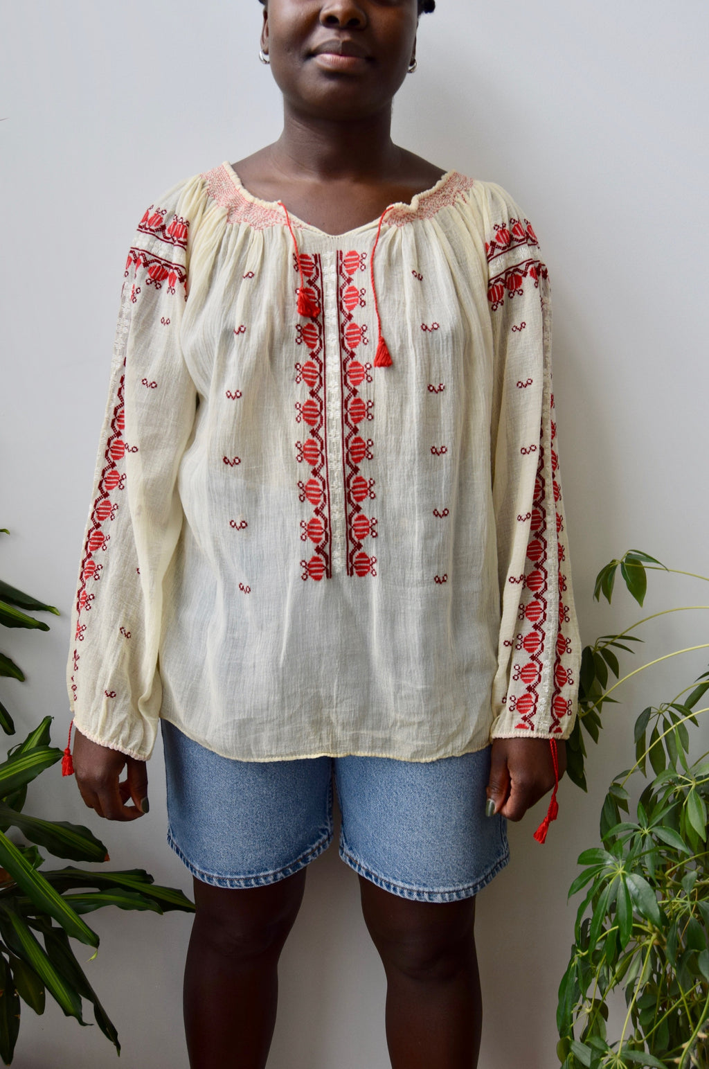 Dream Embroidered Peasant Blouse