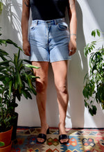 BFly CK Denim Shorts