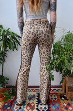 Steven Tyler Leopard Pants